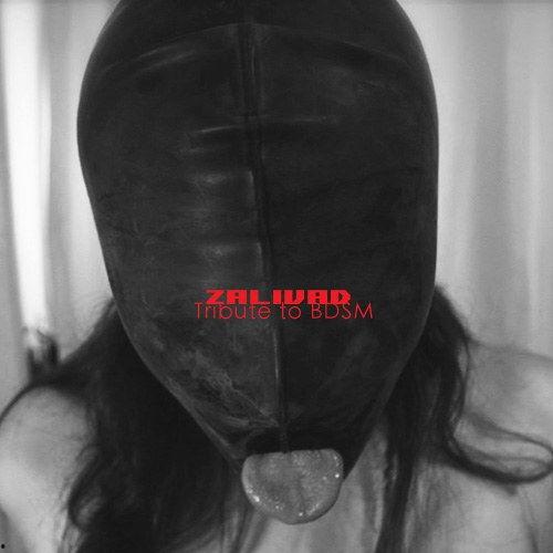 国产bdsm,情感与束缚的交融之旅 第2张 国产bdsm,情感与束缚的交融之旅 第2张